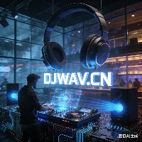  中文Hardstyle (136首, 1.15GB)封面