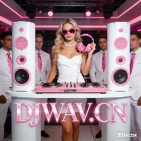  中场BigRoom Techno Trance Hard130-140-150思路套曲 (25首, 0.70GB)封面