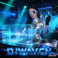  国风时刻中文套曲 140Melbourne &Vina House点位挚爱回归&全中文抖音热播 (24首, 0.61GB)封面