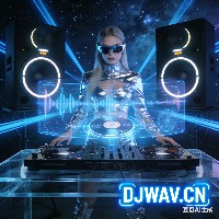  11点-12点派对场必备Bigroom Techno混搭Hard Techno特色思路 (24首, 0.84GB)封面